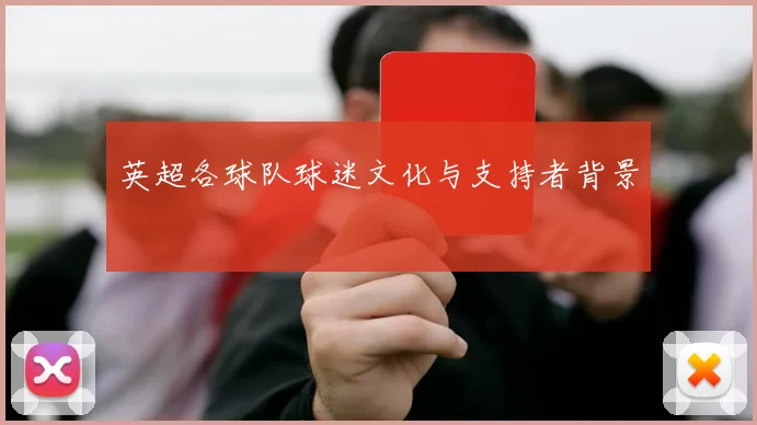 英超各球队球迷文化与支持者背景