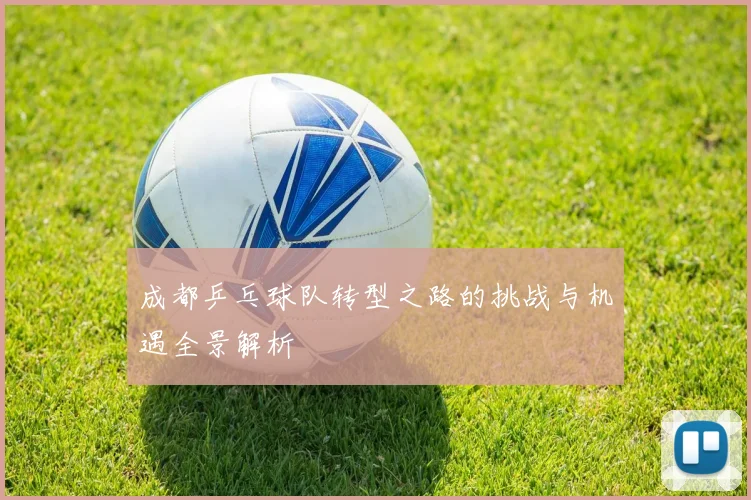 成都乒乓球队转型之路的挑战与机遇全景解析